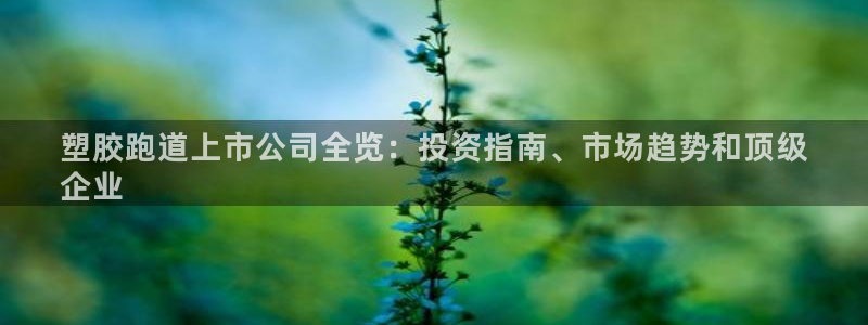 红足一丰：塑胶跑道上市公司全览：投资指南、市场趋势和顶级
企业