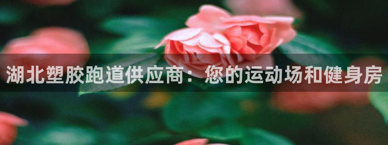 百度红足一1是为什么：湖北塑胶跑道供应商：您的运动场和健身房