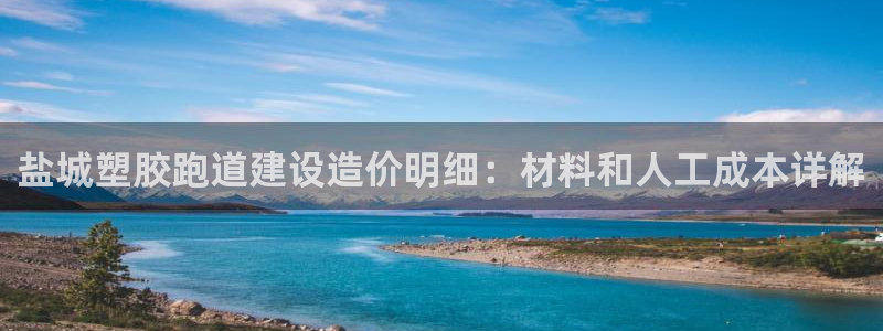 新2足球平台出租网站：盐城塑胶跑道建设造价明细：材料和人工成本详解