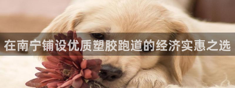 红足一1世比分：在南宁铺设优质塑胶跑道的经济实惠之选