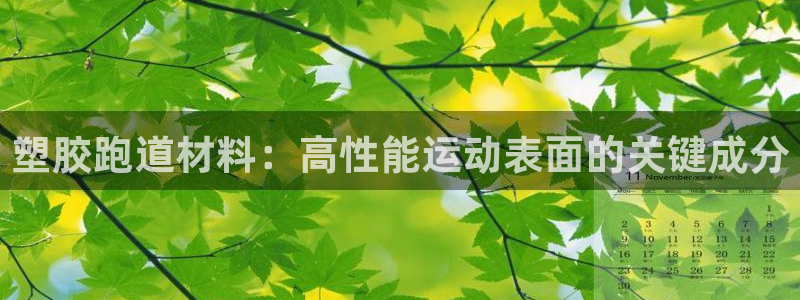 红足一1世手机版新皇冠：塑胶跑道材料：高性能运动表面的关键成分