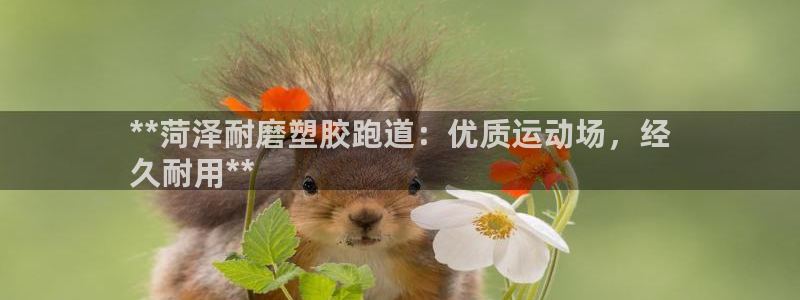 红足一1世即时比分：**菏泽耐磨塑胶跑道：优质运动场，经
久耐用**