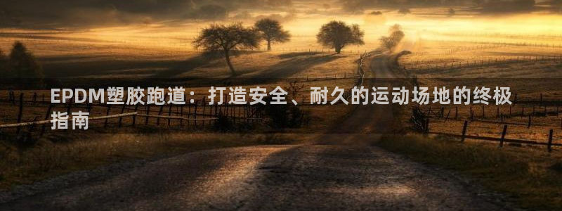 44814红足：EPDM塑胶跑道：打造安全、耐久的运动场地的终极
指南