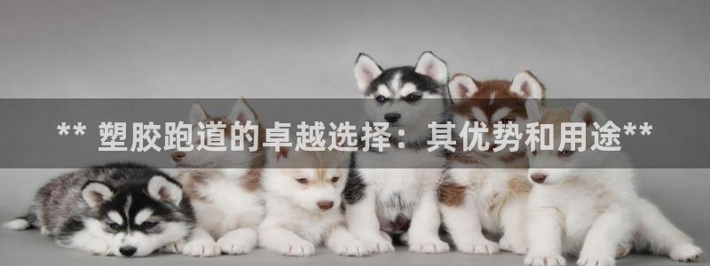 红足一生世：** 塑胶跑道的卓越选择：其优势和用途**