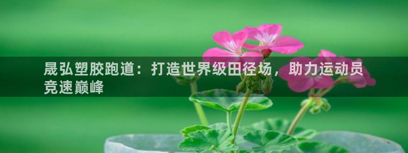 红足一1世666814足球：晟弘塑胶跑道：打造世界级田径场，助力运动员
竞速巅峰