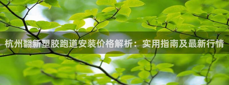 红足一1世77814：杭州翻新塑胶跑道安装价格解析：实用指南及最新行情