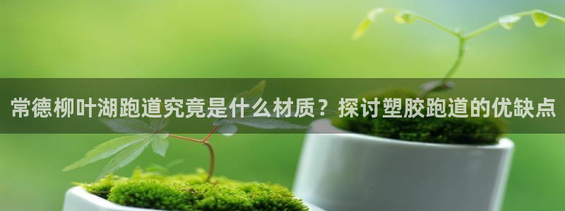 红姐现场直播开奖记录：常德柳叶湖跑道究竟是什么材质？探讨塑胶跑道的优缺点