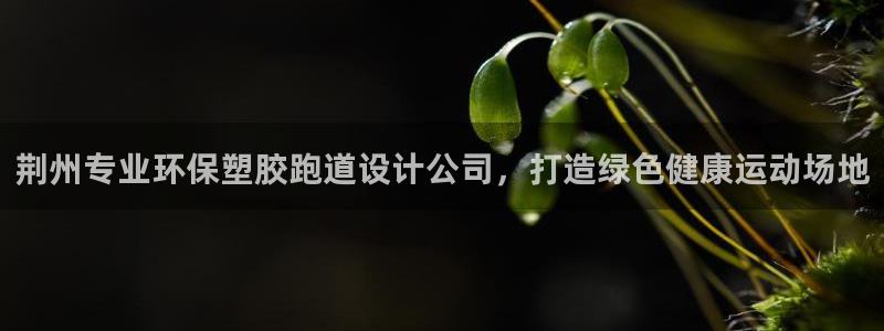 红姐现场直播开奖记录：荆州专业环保塑胶跑道设计公司，打造绿色健康运动场地