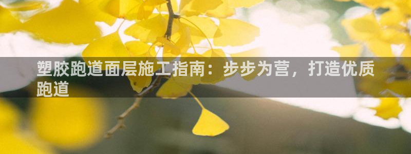 红足1世足球比分网址：塑胶跑道面层施工指南：步步为营，打造优质
跑道