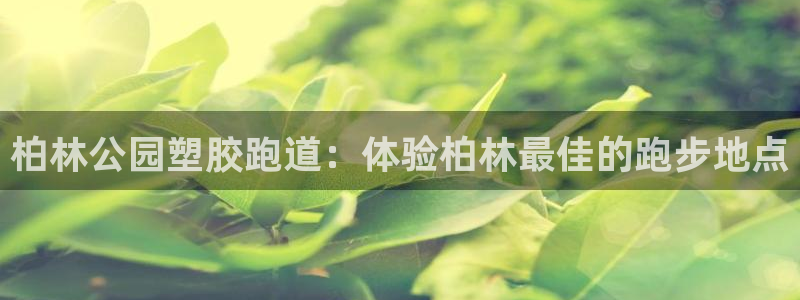 红足一1世皇冠：柏林公园塑胶跑道：体验柏林最佳的跑步地点
