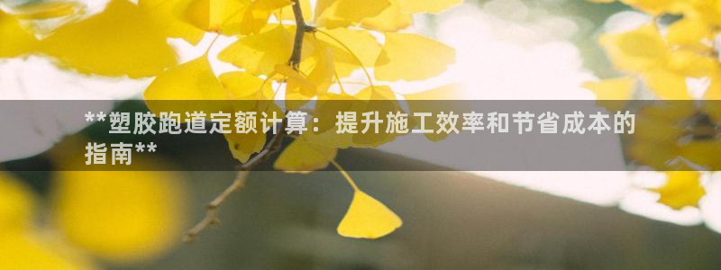 红足一1世手机版新皇冠：**塑胶跑道定额计算：提升施工效率和节省成本的
指南**