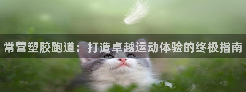 红足1一世：常营塑胶跑道：打造卓越运动体验的终极指南