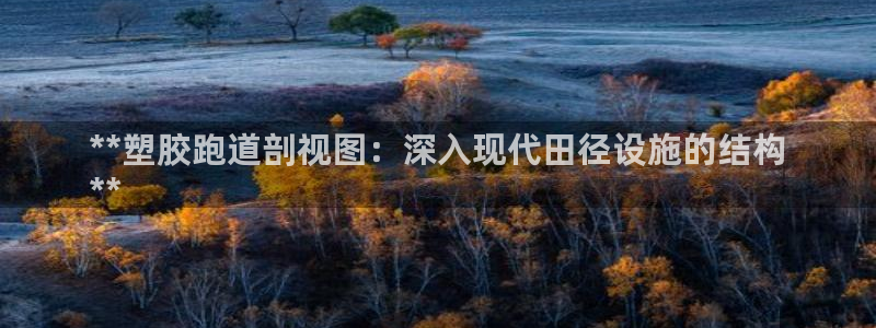 红足1世手机下载：**塑胶跑道剖视图：深入现代田径设施的结构
**