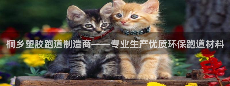 红姐现场直播开奖记录：桐乡塑胶跑道制造商——专业生产优质环保跑道材料