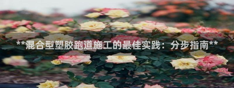 红足一1世666814最新结果：**混合型塑胶跑道施工的最佳实践：分步指南**