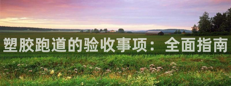 红足体育网：塑胶跑道的验收事项：全面指南