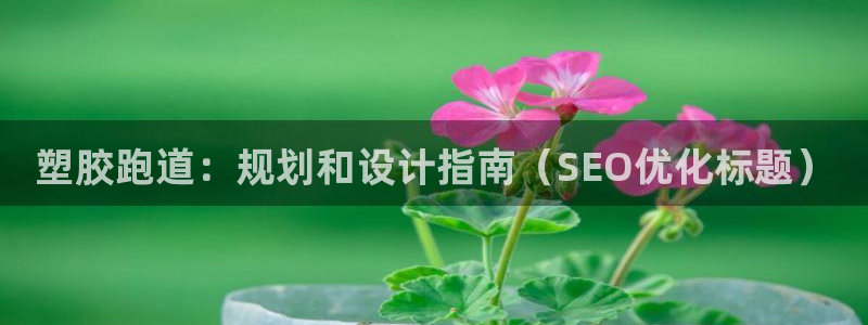 红足1世足球网址：塑胶跑道：规划和设计指南（SEO优化标题）