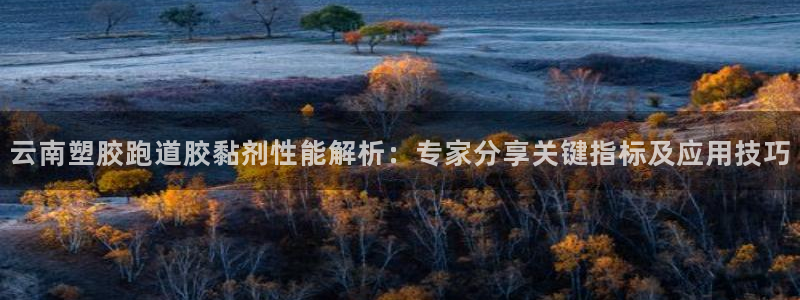红足一1世77814：云南塑胶跑道胶黏剂性能解析：专家分享关键指标及应用技巧