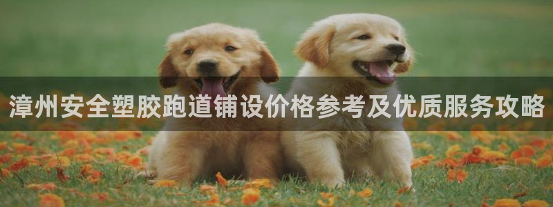 77814红足1世：漳州安全塑胶跑道铺设价格参考及优质服务攻略