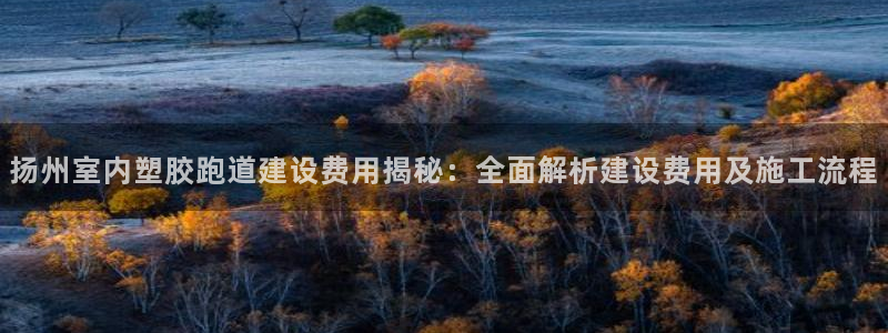777814红·足一世比分：扬州室内塑胶跑道建设费用揭秘：全面解析建设费用及施工流程