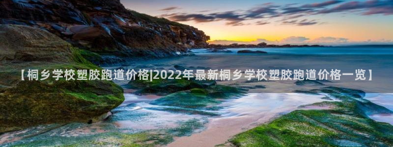 红足一1世平台：【桐乡学校塑胶跑道价格|2022年最新桐乡学校塑胶跑道价格一览】