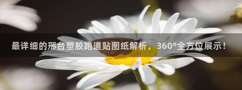 红足1世手机板：最详细的邢台塑胶跑道贴图纸解析，360°全方位展示！