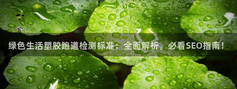 77814红足1世：绿色生活塑胶跑道检测标准：全面解析，必看SEO指南！
