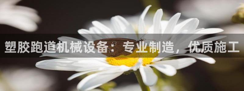 新2足球平台出租网站：塑胶跑道机械设备：专业制造，优质施工