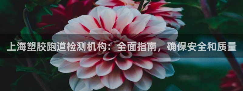 44814红足：上海塑胶跑道检测机构：全面指南，确保安全和质量