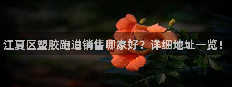 55814红足1世：江夏区塑胶跑道销售哪家好？详细地址一览！
