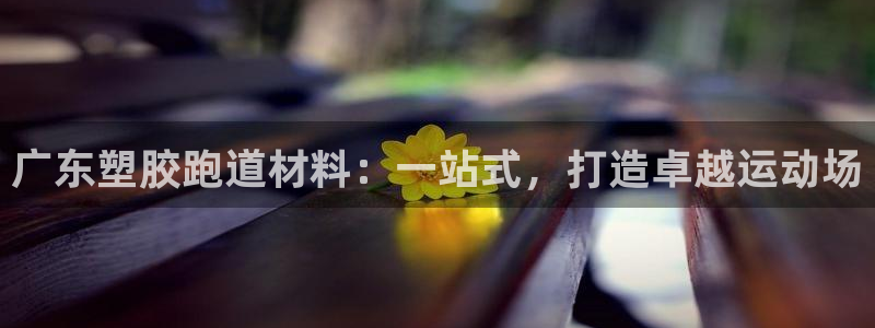 百度红足一1使用说明：广东塑胶跑道材料：一站式，打造卓越运动场
