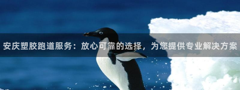 红足一1世开奖记录：安庆塑胶跑道服务：放心可靠的选择，为您提供专业解决方案
