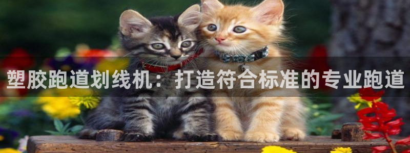 百度红足一1是为什么：塑胶跑道划线机：打造符合标准的专业跑道