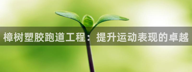 百度红足一1是干什么的：樟树塑胶跑道工程：提升运动表现的卓越