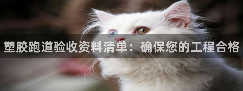 红足1世手机版下载：塑胶跑道验收资料清单：确保您的工程合格