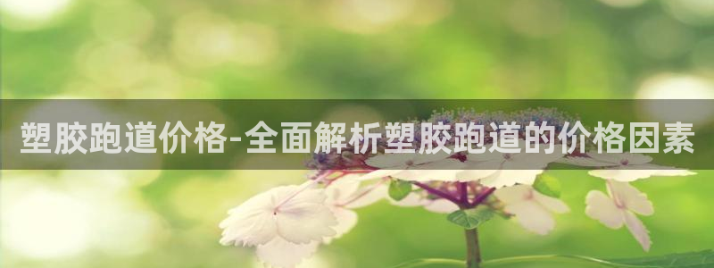 红足一1世手机版新皇冠：塑胶跑道价格-全面解析塑胶跑道的价格因素