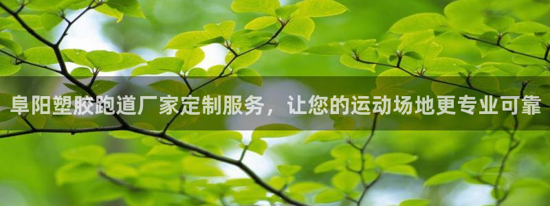 红足1世开奖预测：阜阳塑胶跑道厂家定制服务，让您的运动场地更专业可靠