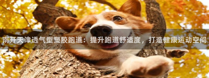 百度红足一1视频在线观看：南开天津透气型塑胶跑道：提升跑道舒适度，打造健康运动空间
