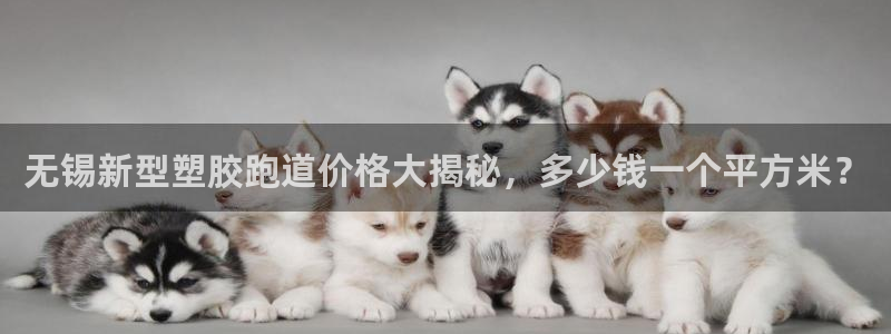 红足一1世77814