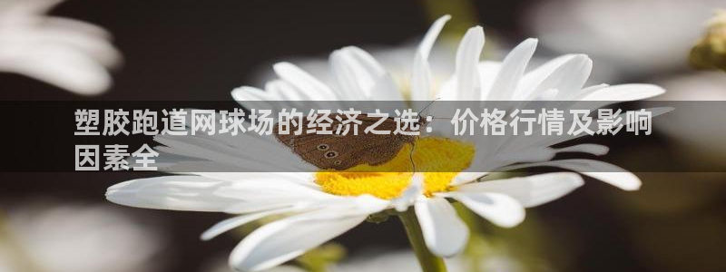 红足一1世皇冠：塑胶跑道网球场的经济之选：价格行情及影响
因素全