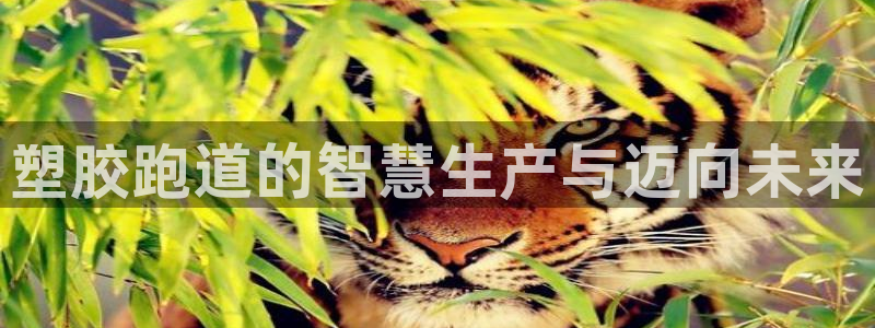 红足一1世官网足球推荐真人：塑胶跑道的智慧生产与迈向未来
