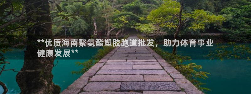 红足1世手机版下载：**优质海南聚氨酯塑胶跑道批发，助力体育事业
健康发展**