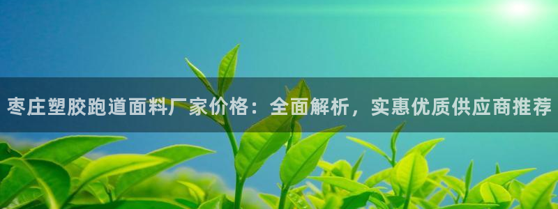 红足1一世：枣庄塑胶跑道面料厂家价格：全面解析，实惠优质供应商推荐