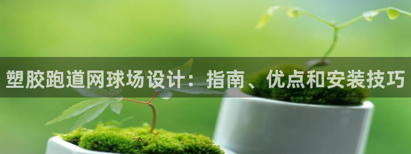 红足一1世手机皇冠