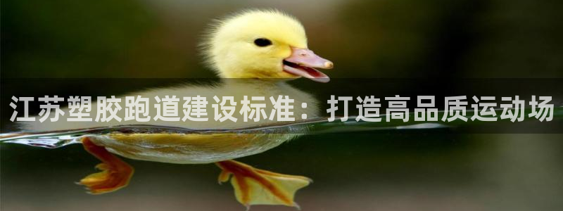 红足一1世66814：江苏塑胶跑道建设标准：打造高品质运动场