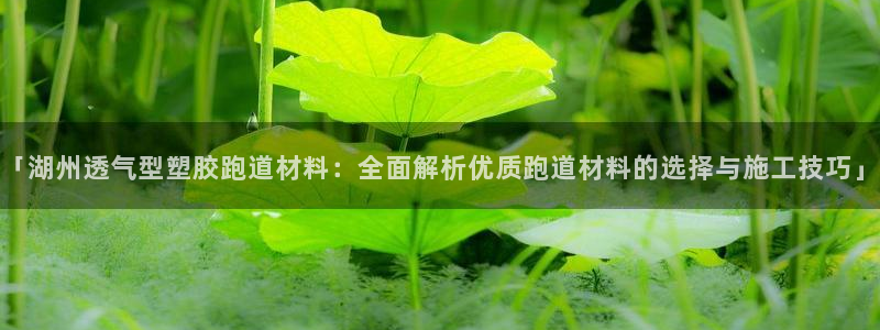 红足1世足球比分：「湖州透气型塑胶跑道材料：全面解析优质跑道材料的选择与施工技巧」