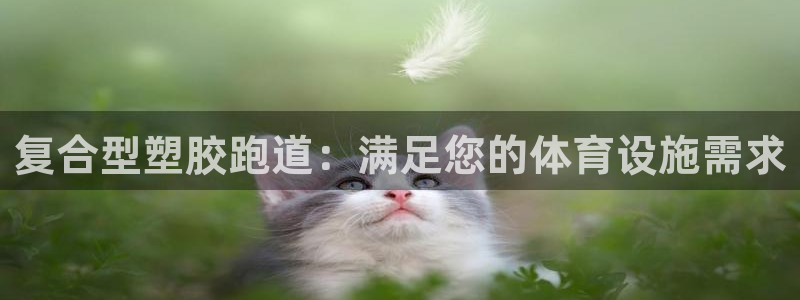 百度红足一1视频在线观看：复合型塑胶跑道：满足您的体育设施需求