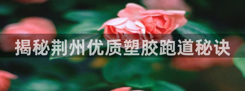55814红足1世：揭秘荆州优质塑胶跑道秘诀
