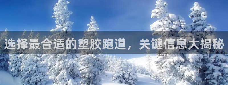 55814红足1世：选择最合适的塑胶跑道，关键信息大揭秘