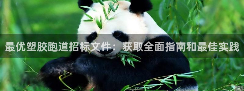 红足一1世官网比分
